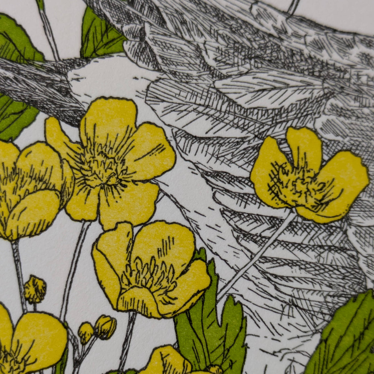 Illustration of yellow flowers and green leaves on a white background