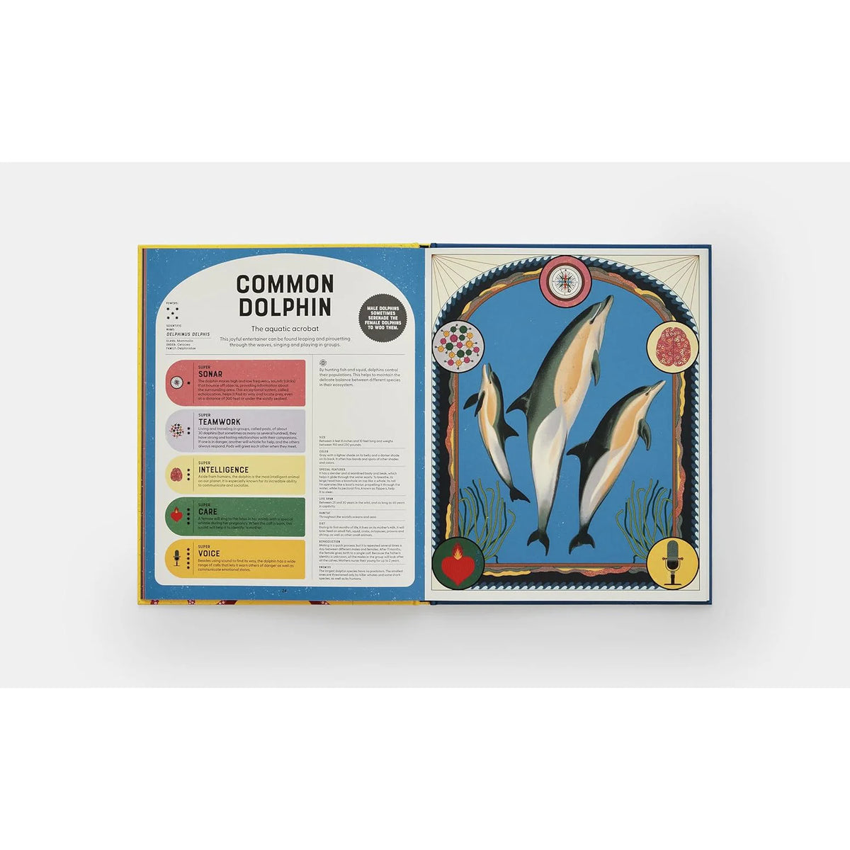 Super Powered Animals