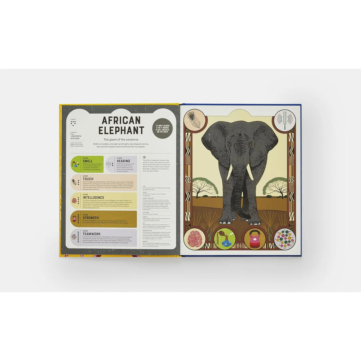 Super Powered Animals