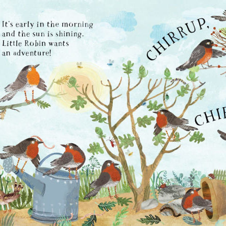 Little Robin's Book of Birds
