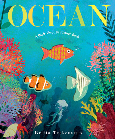 Ocean:A Peek Through Book
