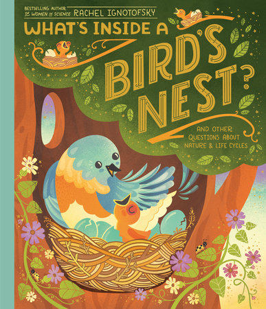 What&#39;s Inside a Bird&#39;s Nest?
