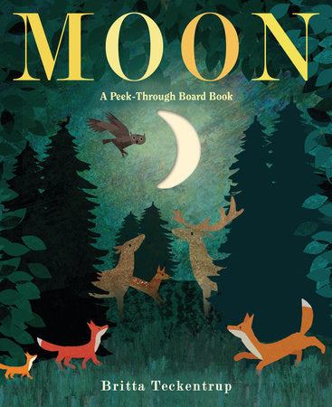 The Moon: A Peek Through Book