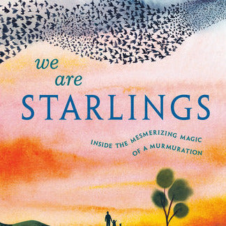We are Starlings