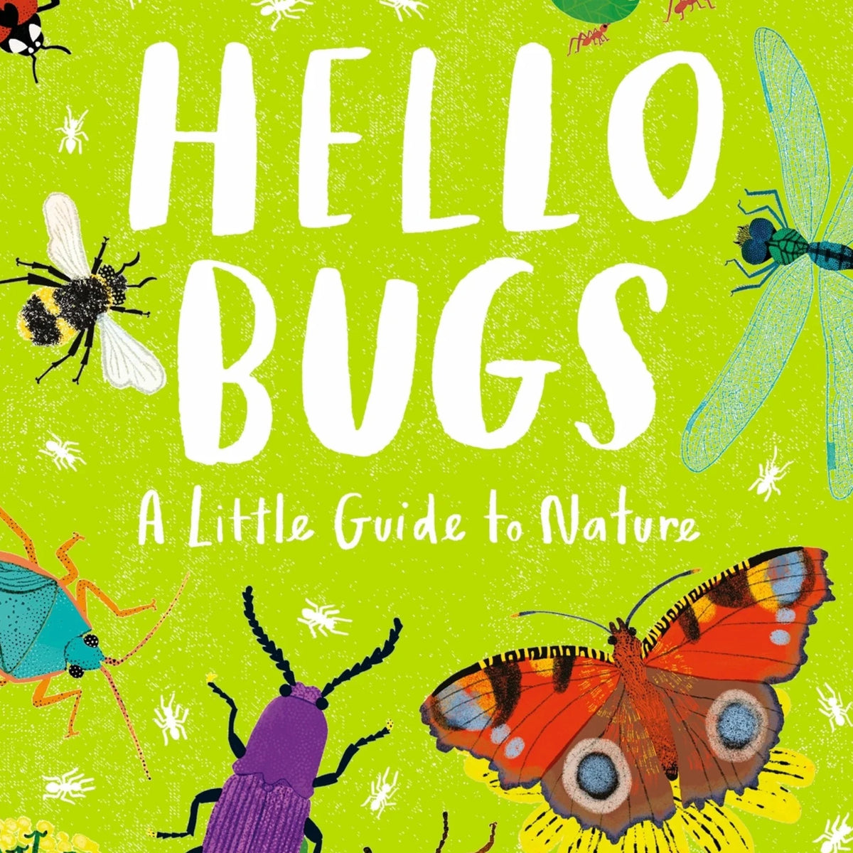 Hello Bugs A Little Guide to Nature