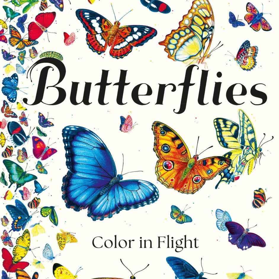 Butterflies Color in Flight