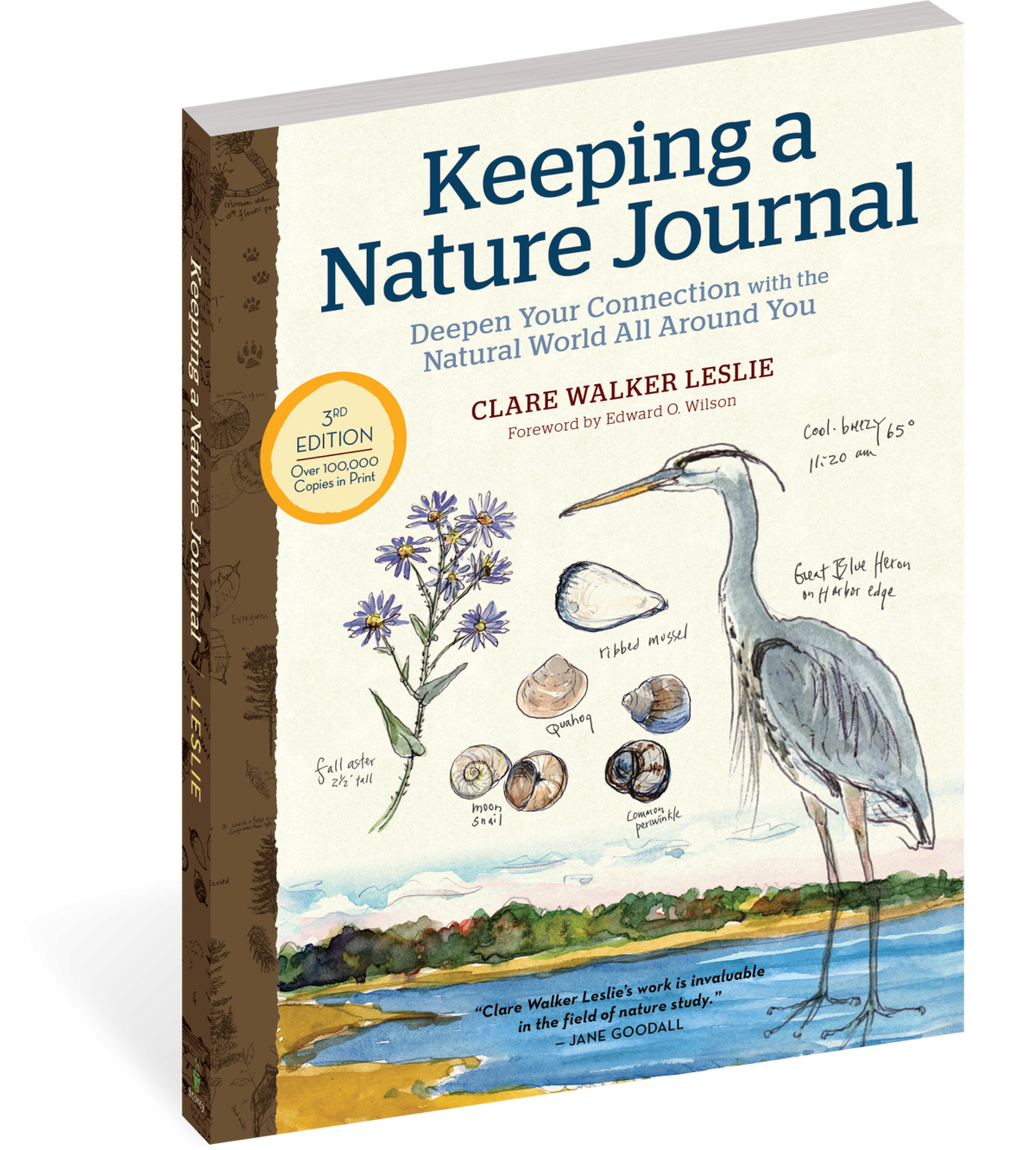 Keeping a Nature Journal