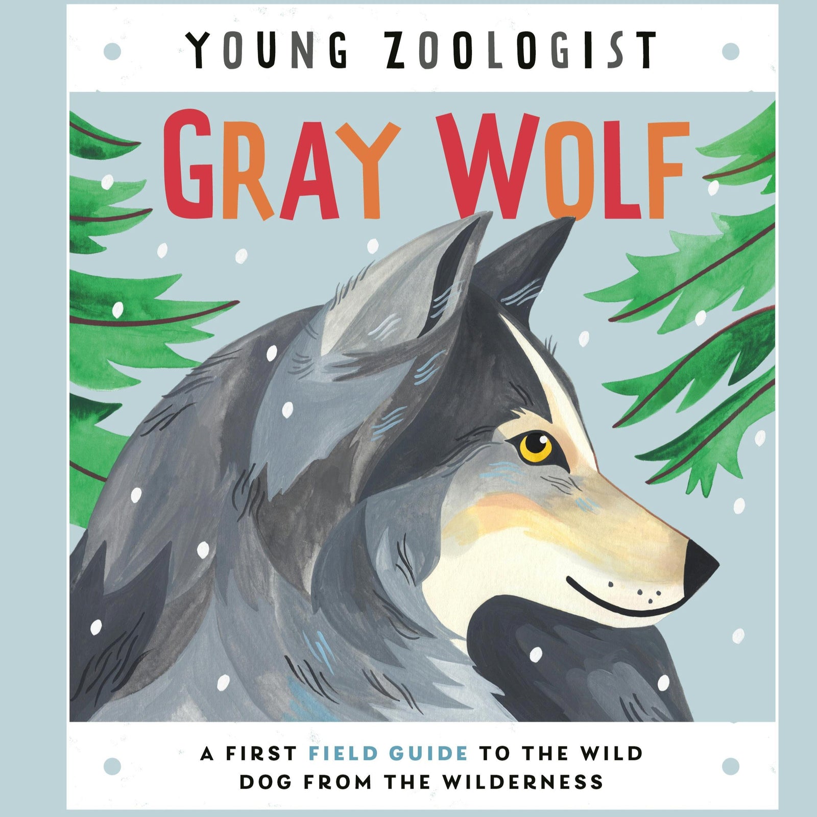 Book cover of 'Gray Wolf' from 'Young Zoologist' series with a wolf illustration and forest background.