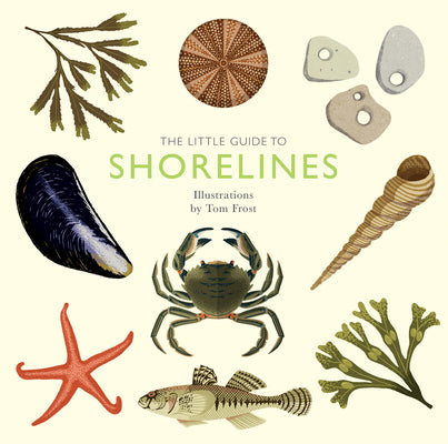The Little Guide To Shorelines
