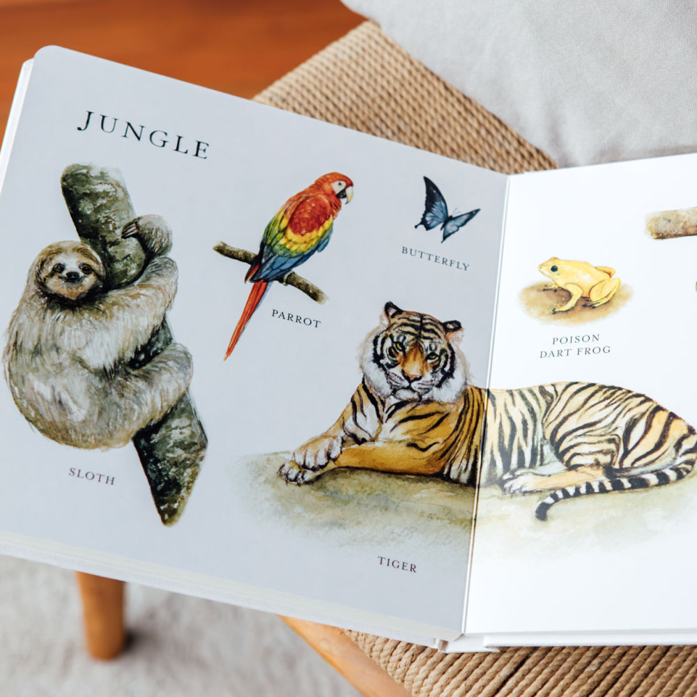 Book cover of 'Our Big Book of Animals' with illustrations of various animals on a white background.