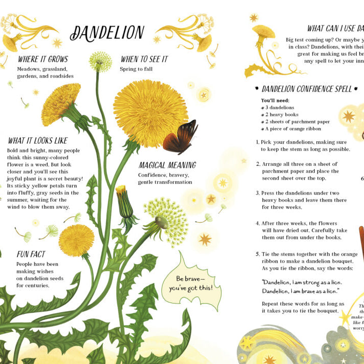 Book cover of 'A Guide to Plants for Little Witchlings' with illustrations of plants and a child holding a cat.