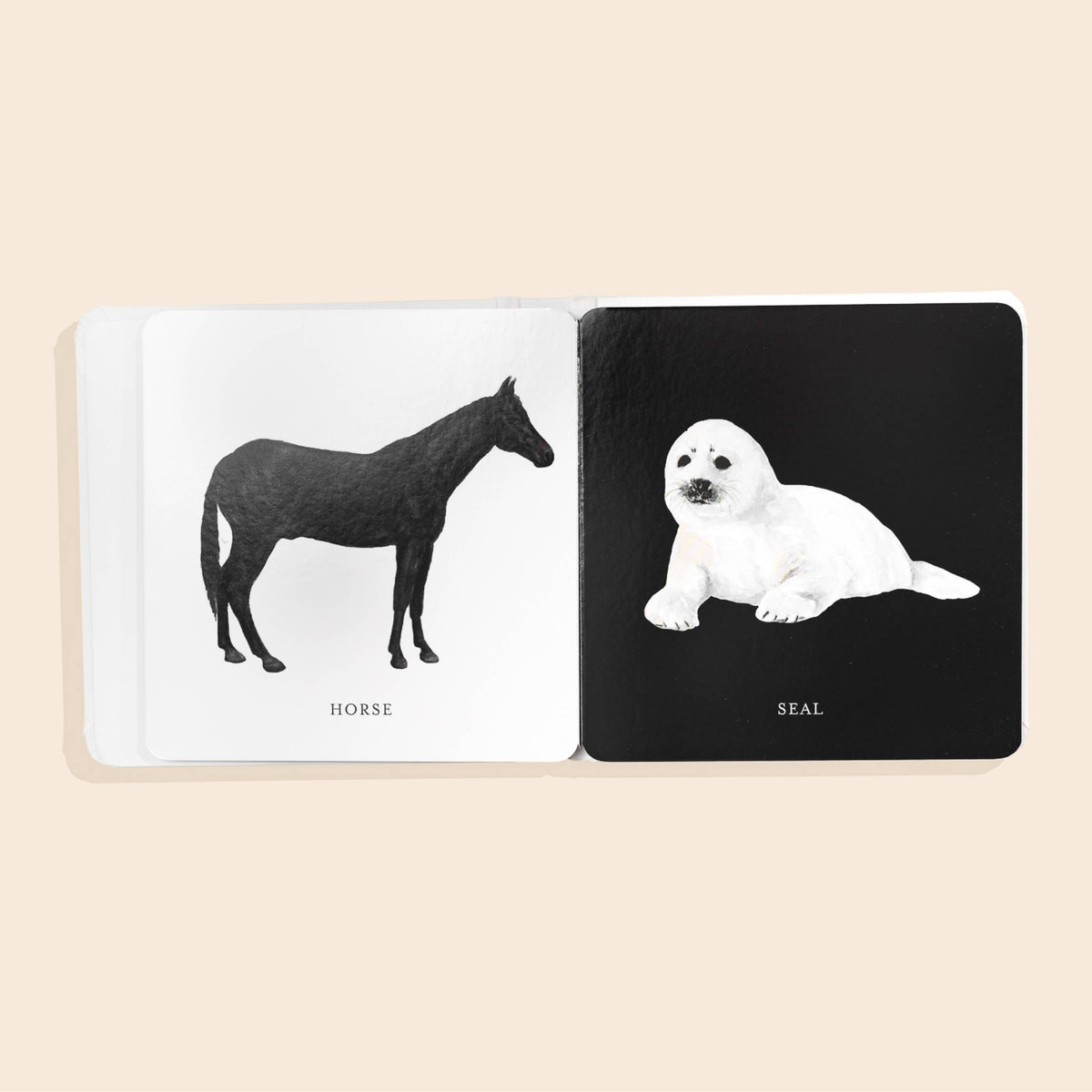 Card with illustrations of a horse and a seal on opposite sides, on a beige background.