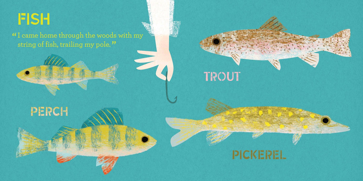 Walden A Nature Primer