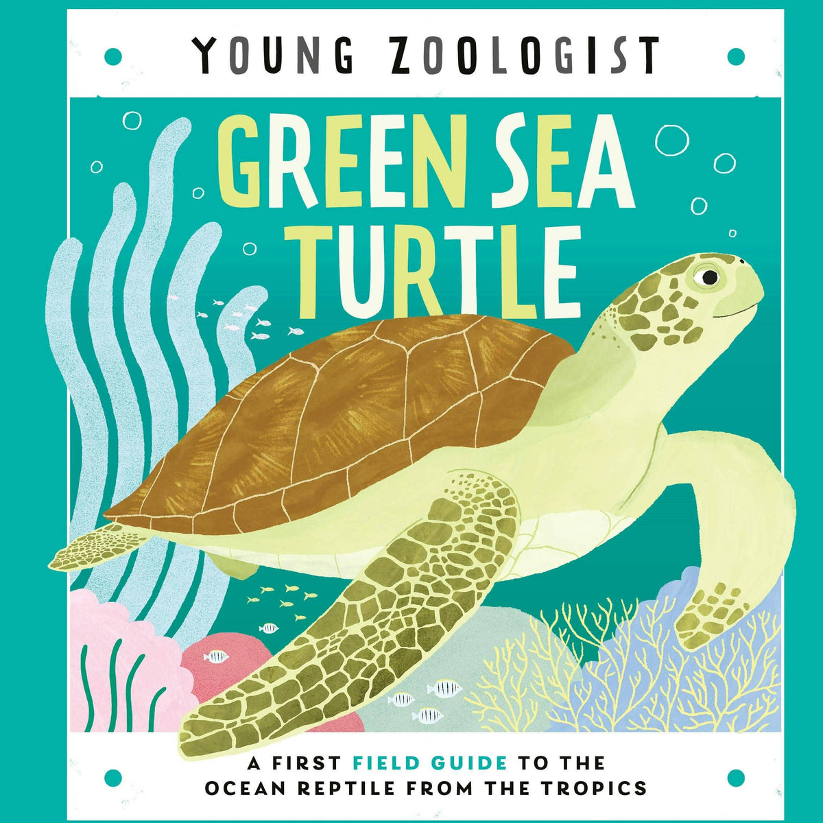 Young Zoologist: First Field Guide To Sea Turtles