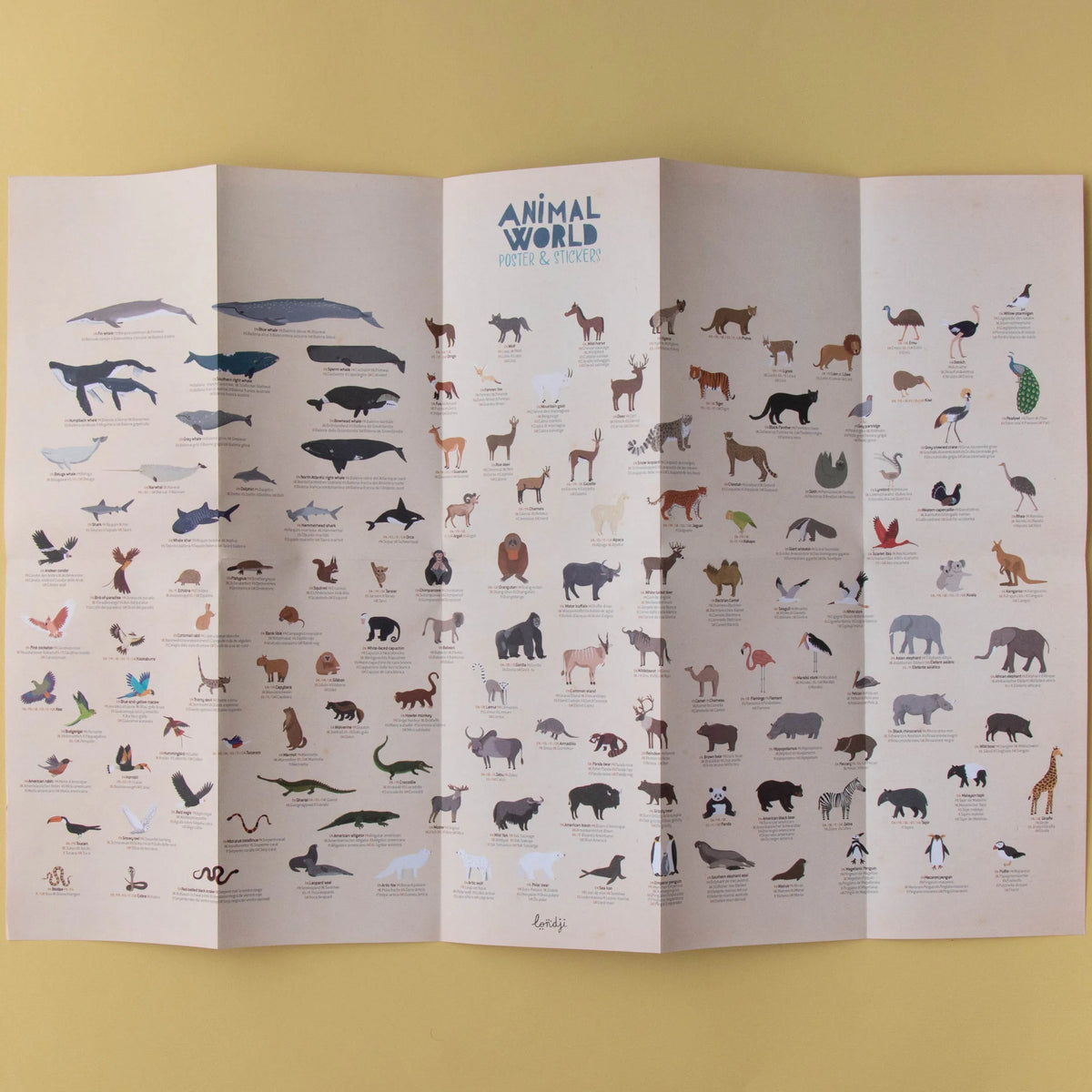 Foldout educational poster of animals with illustrations on a yellow background