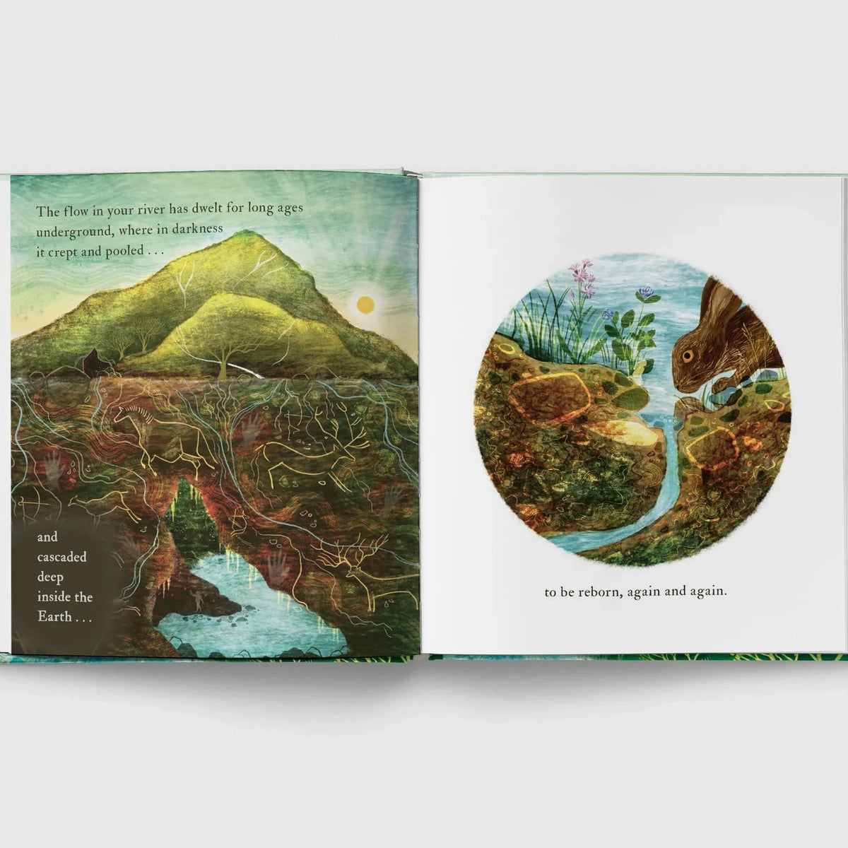 Open book with illustrations of a mountain, roots, and a circular inset of a river and animals on a white background.