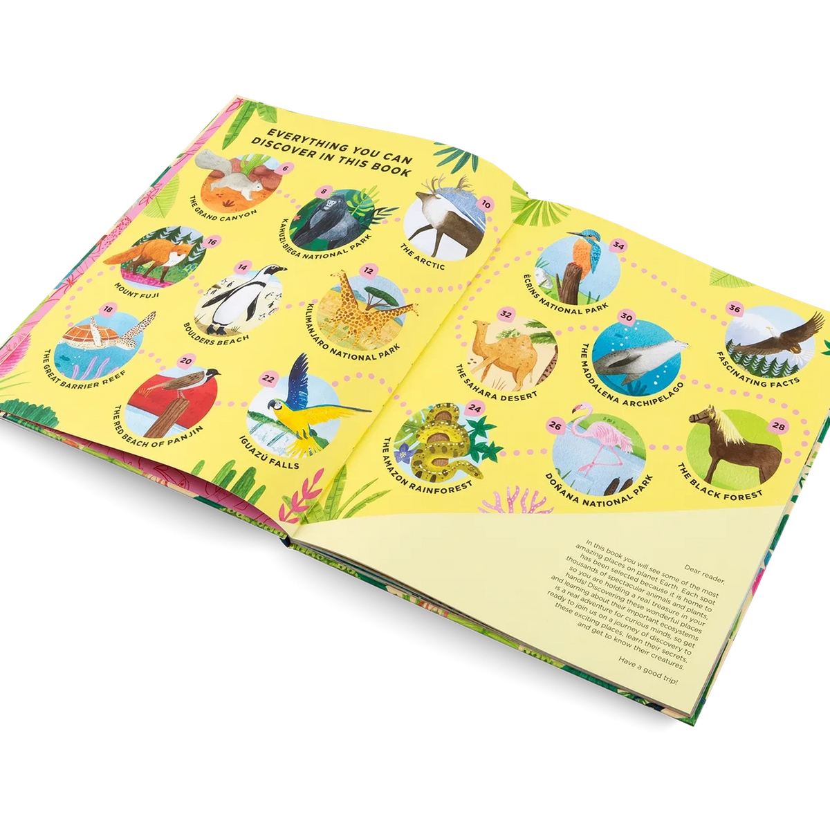 Open book with colorful illustrations of animals on a white background