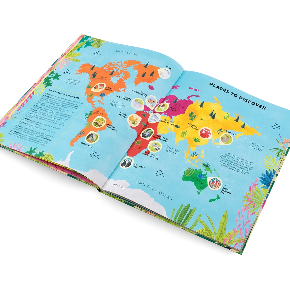 Colorful world map illustration in an open book on a white background