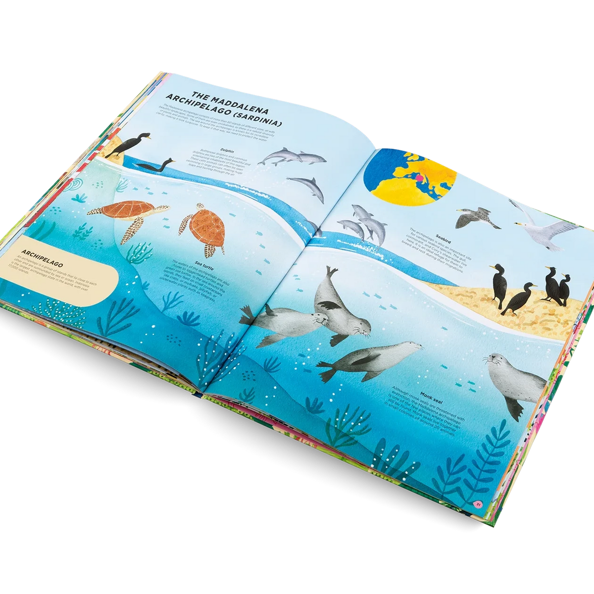 Open book showing illustrations of marine animals on a white background