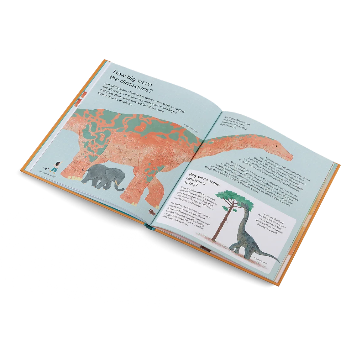 Open book showing illustrations of dinosaurs on a white background