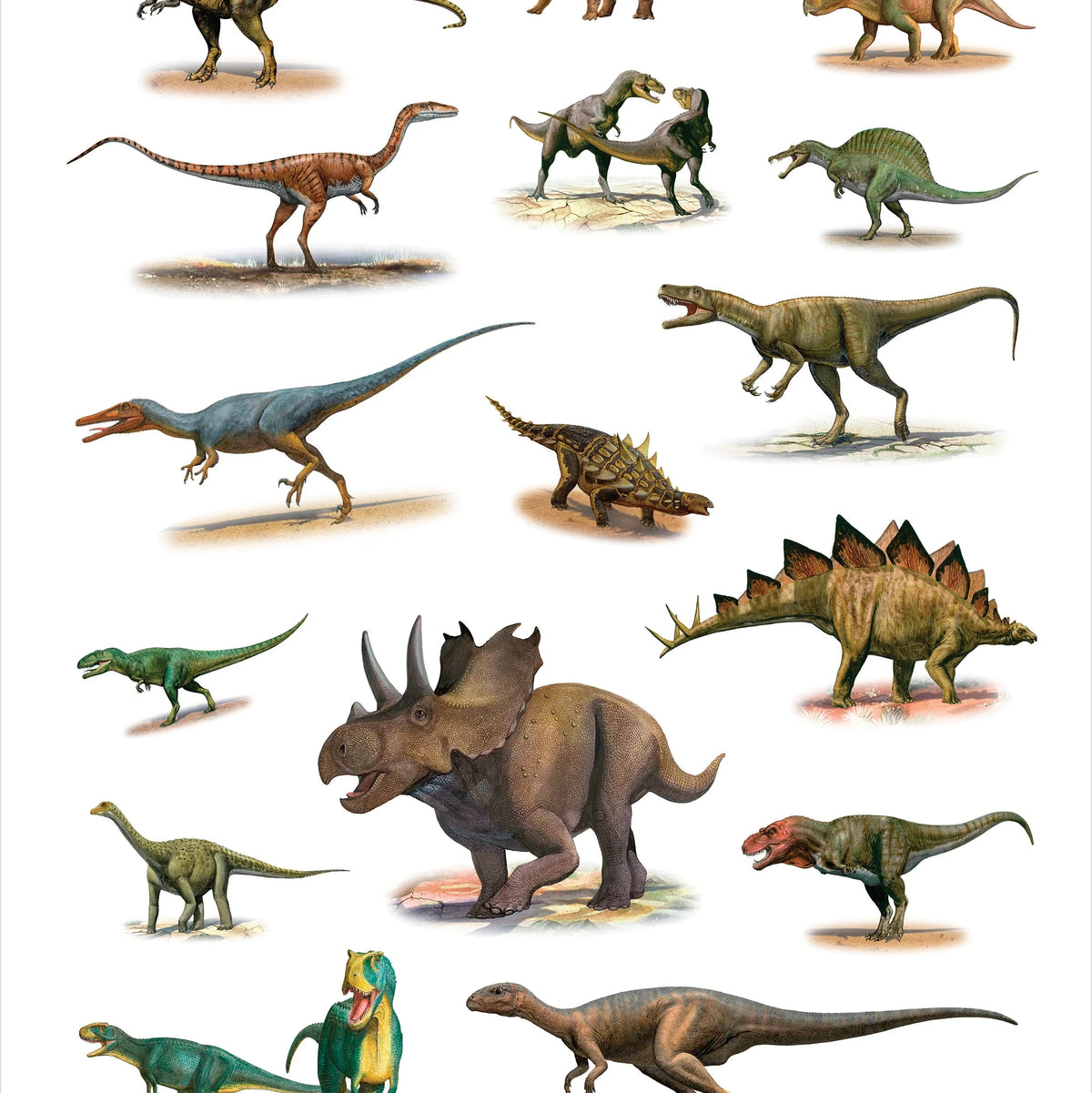 Illustrations of various dinosaurs on a white background