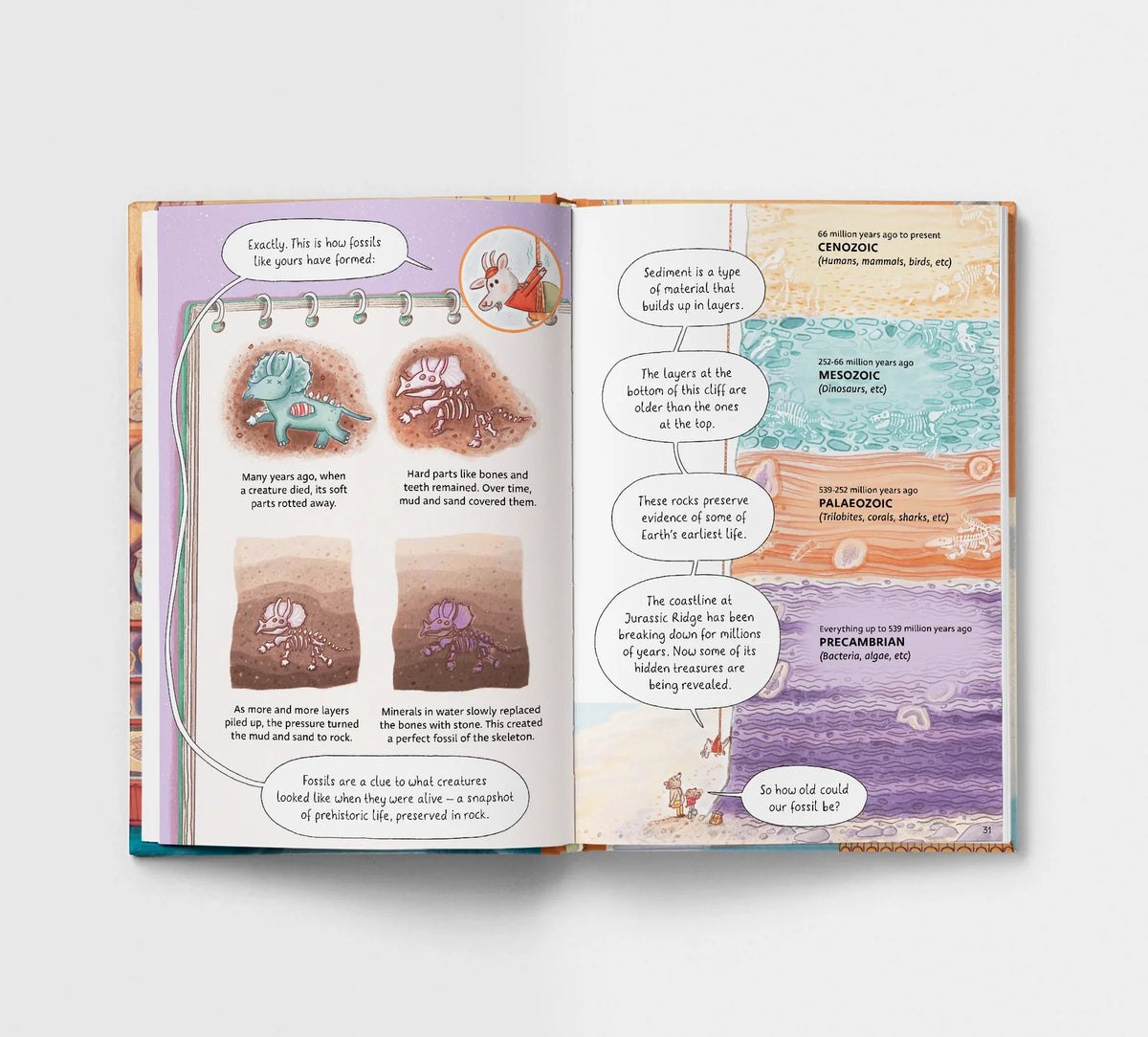 Open book with story content on rock layers and fossils