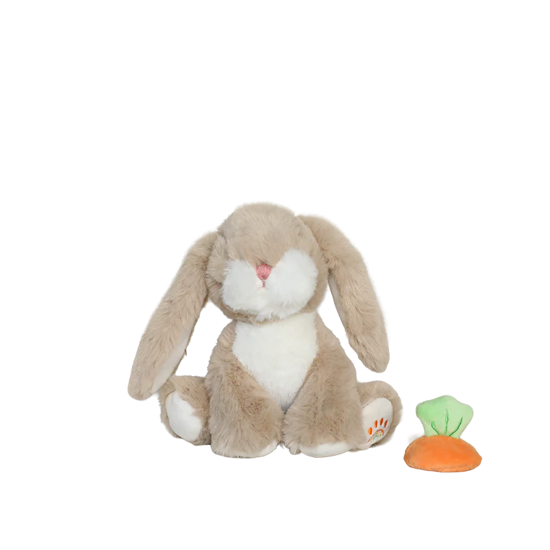 Plush rabbit toy with a small carrot-shaped toy on a white background