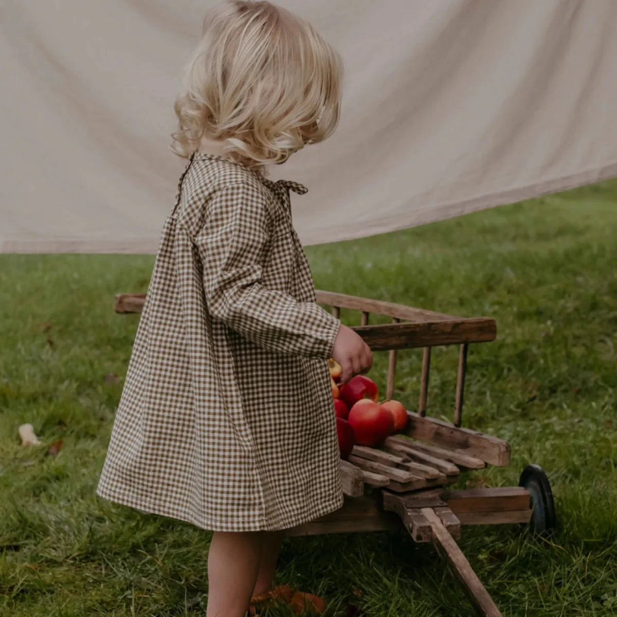 A toddler stands on a grassy lawn wearing a brown and beige gingham dress, interacting with a small wooden cart holding red apples under a beige fabric backdrop.