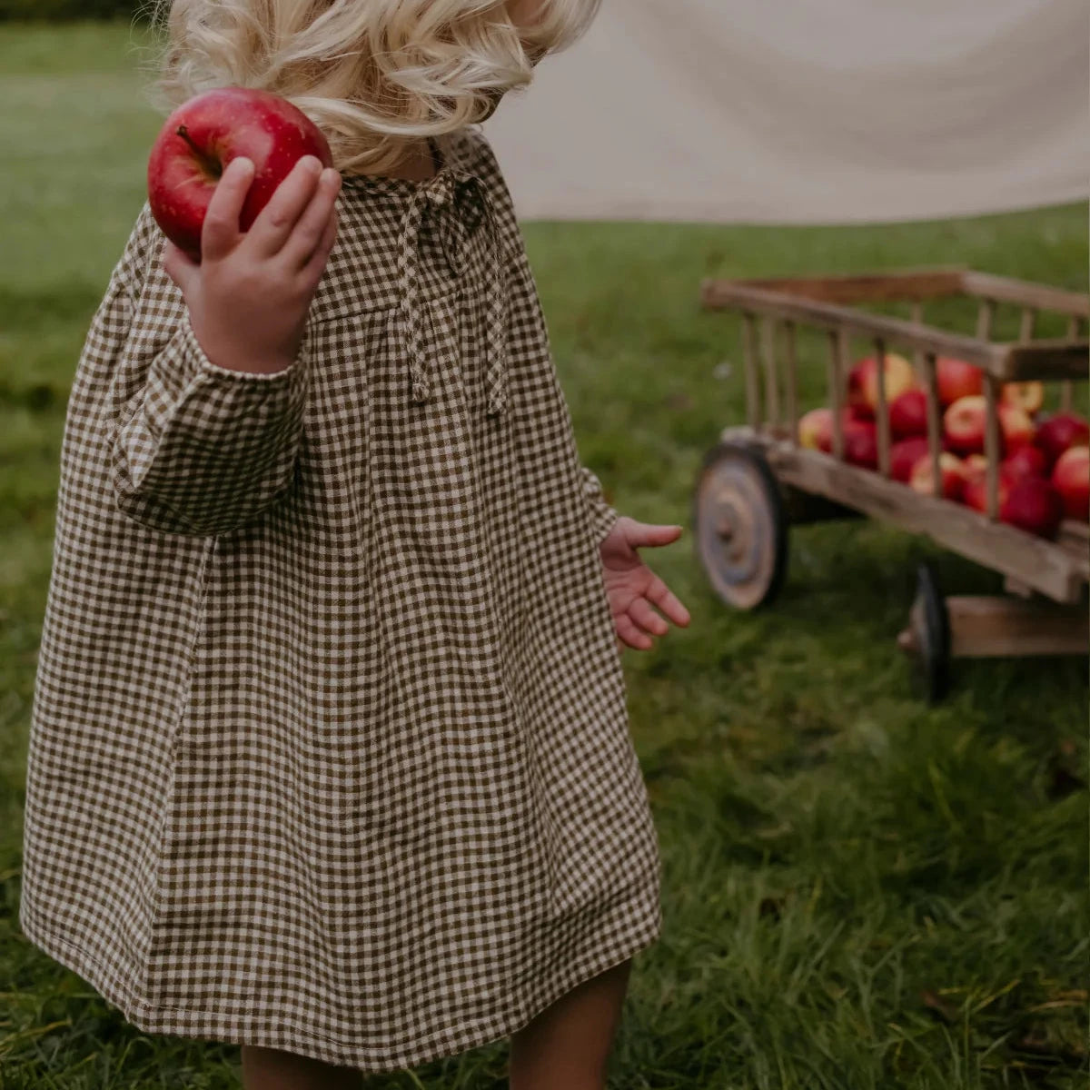 A toddler stands on a grassy lawn holding a red apple, wearing a brown and beige gingham long-sleeve dress. A wooden wagon filled with apples is visible in the background next to a cream-colored fabric backdrop.