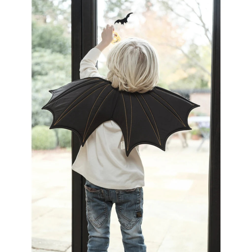 Child wearing black bat wings standing by a glass door.