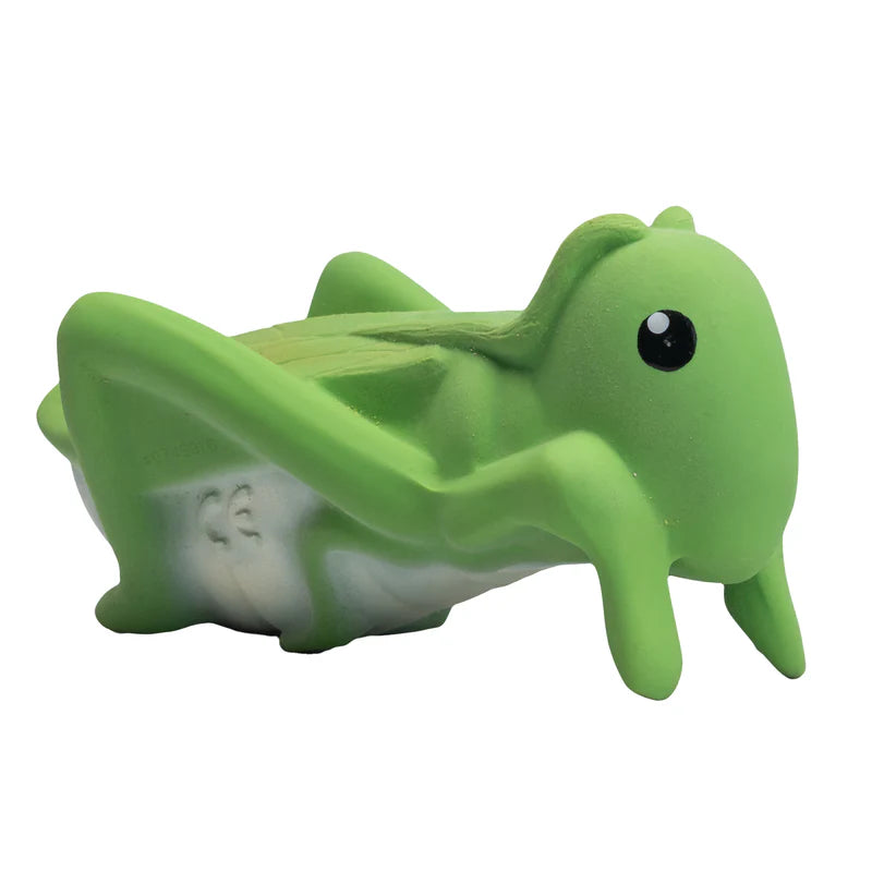 Green toy grasshopper on a white background