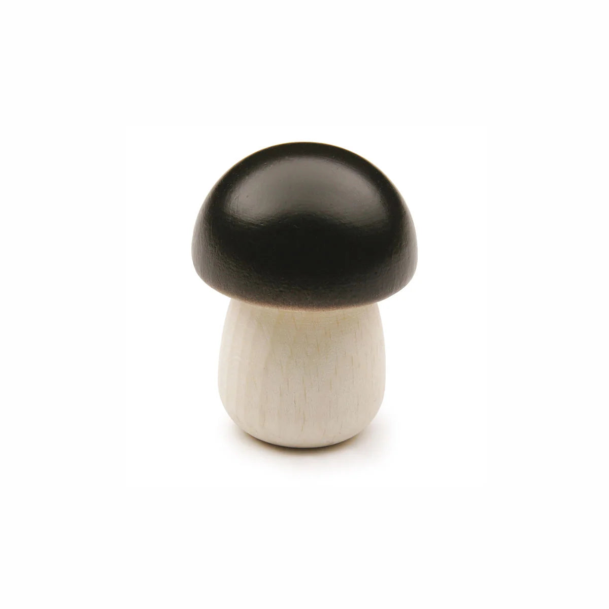Yellow Boletus Mushroom