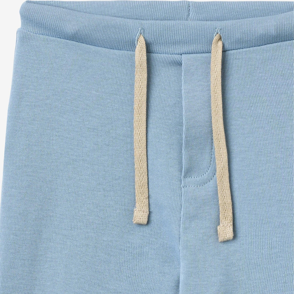Light blue sweatpants with drawstrings on a light gray background