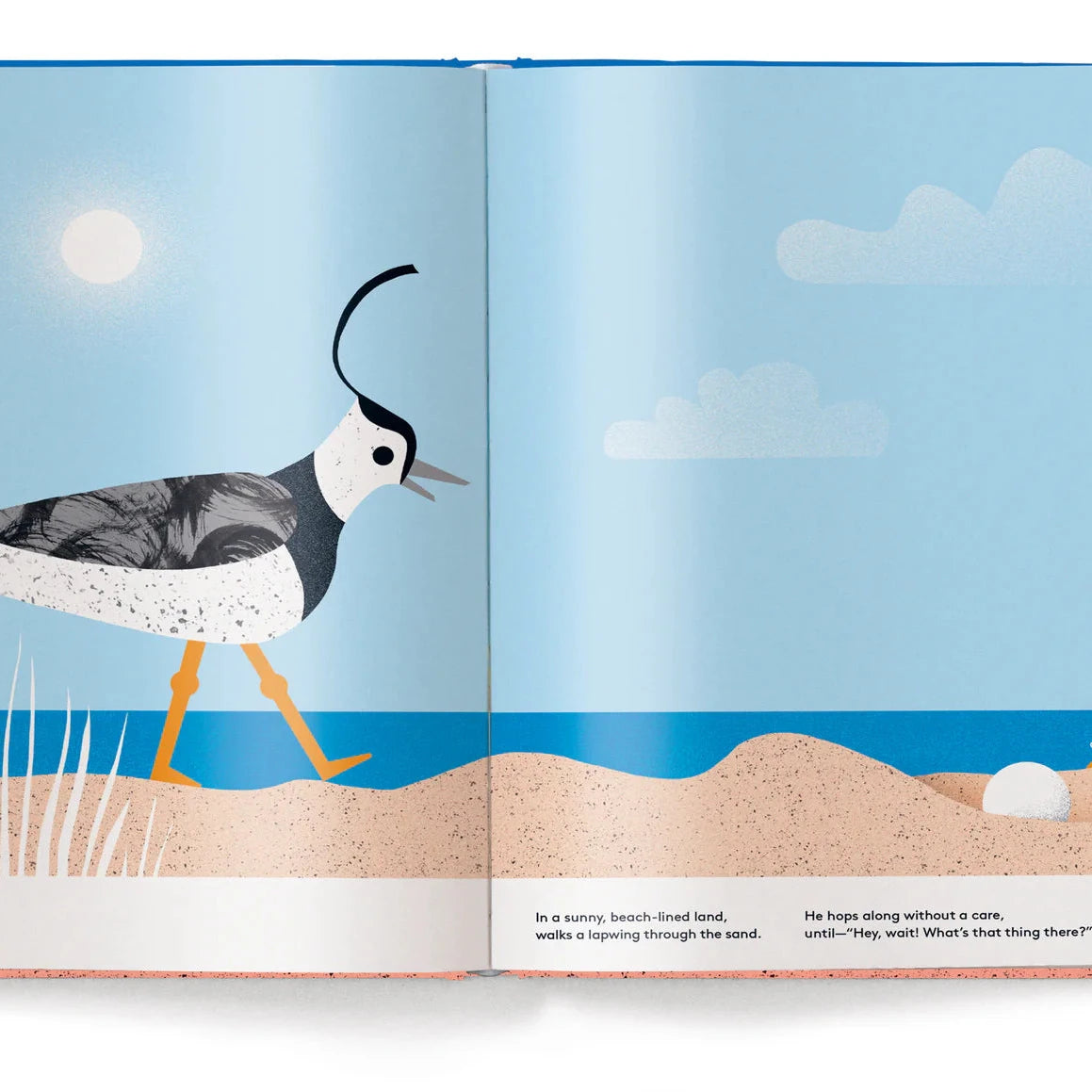 Illustrated book open to a page with a bird on a beach