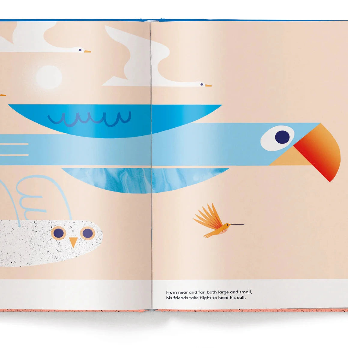 Open book showing illustrations of birds and a fish on a beige background