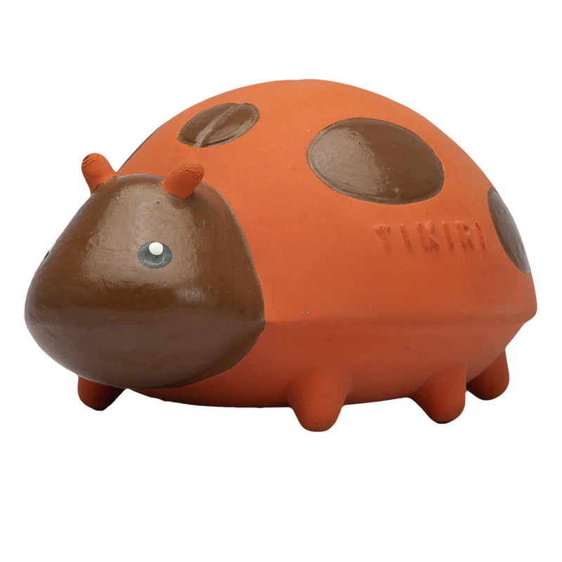 Orange and brown ladybug-shaped toy on a white background