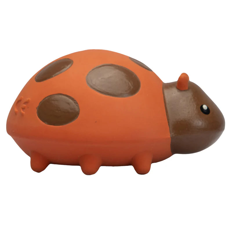 Orange and brown ladybug-shaped toy on a white background