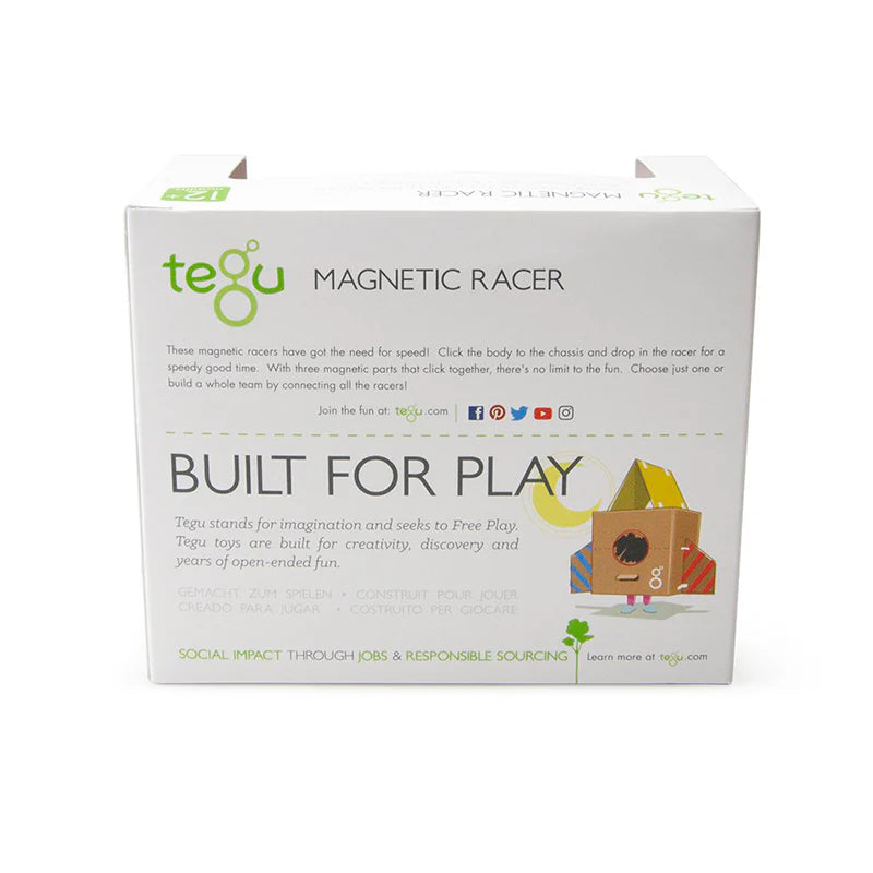 Tegu Magnetic Racer