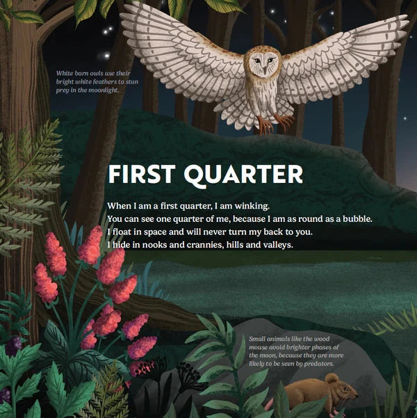 Illustration of an owl in a forest with text about the first quarter moon.