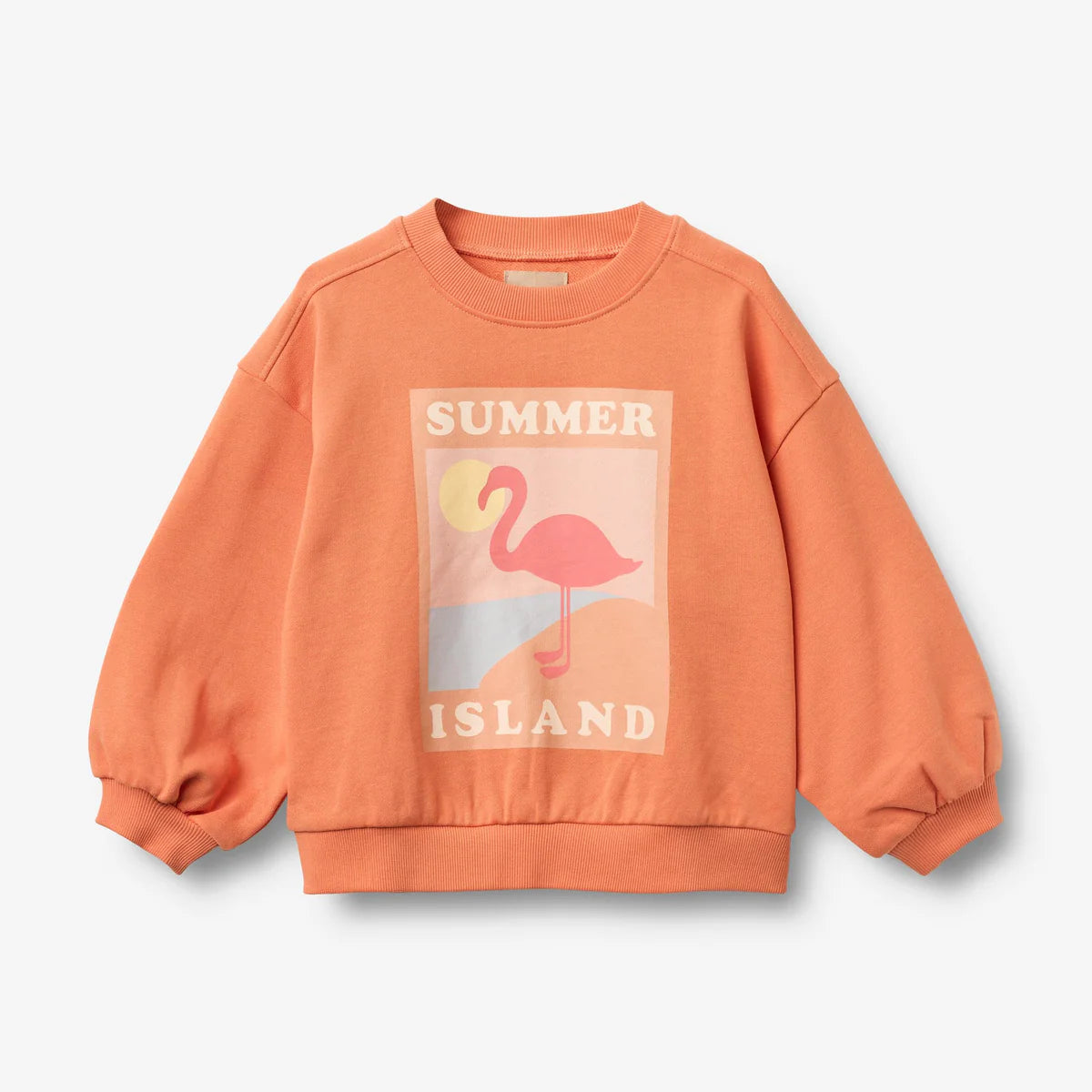 Child wearing an orange sweatshirt with a flamingo design on a plain background