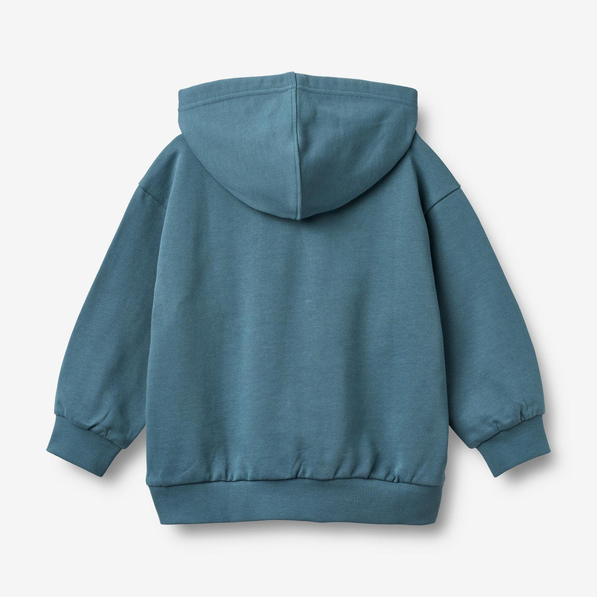 Blue hoodie on a light gray background
