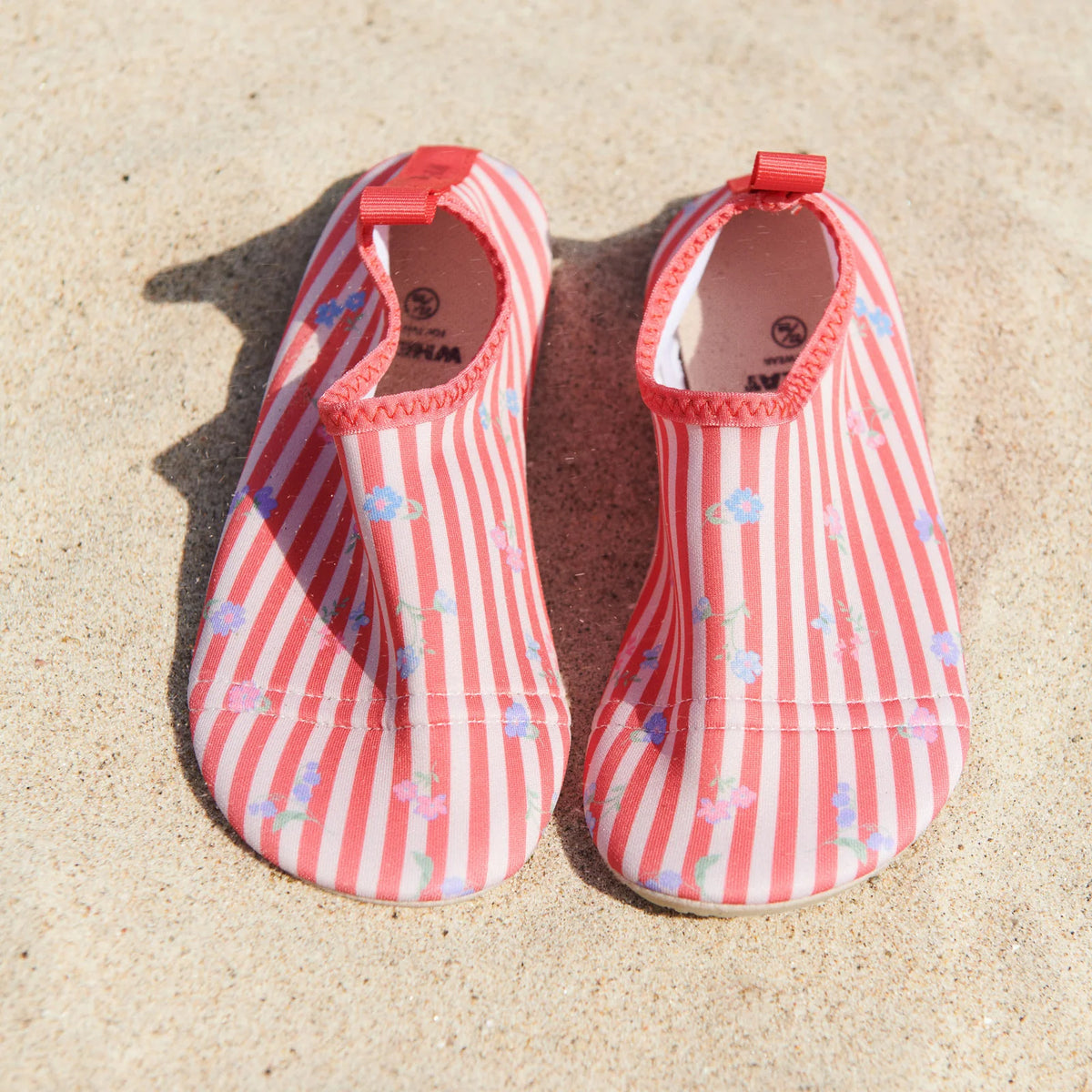 Swimshoe Dolphin