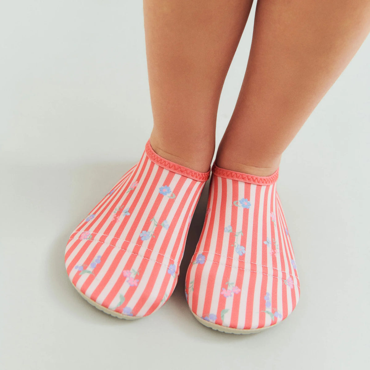 Swimshoe Dolphin