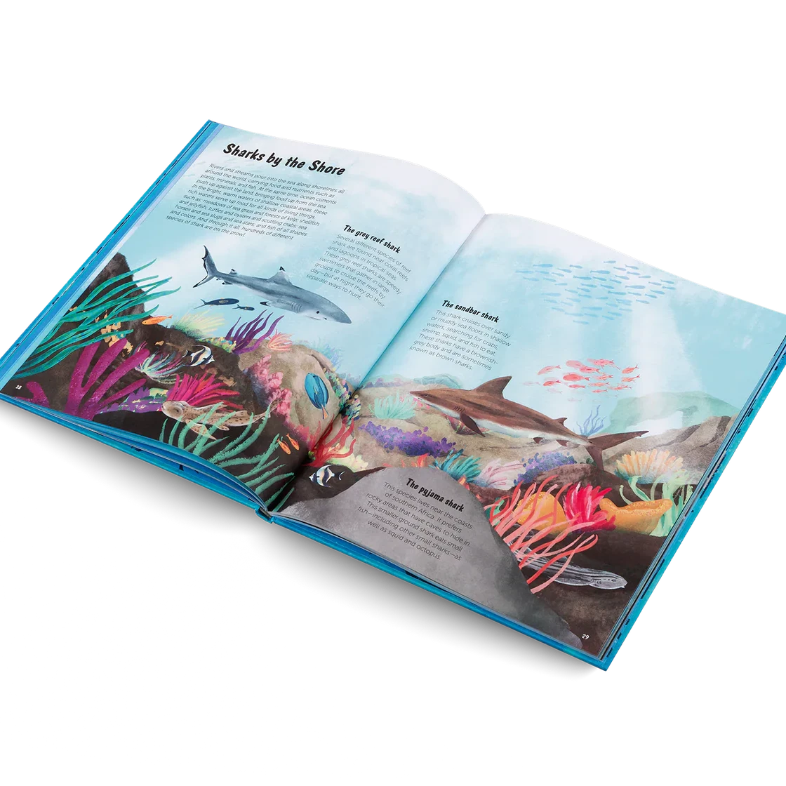 Open book with colorful illustrations of sharks and marine life on a white background
