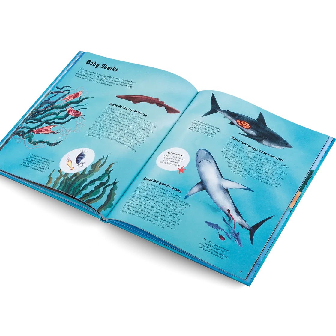 Open book with illustrations of a shark and its habitat on a white background