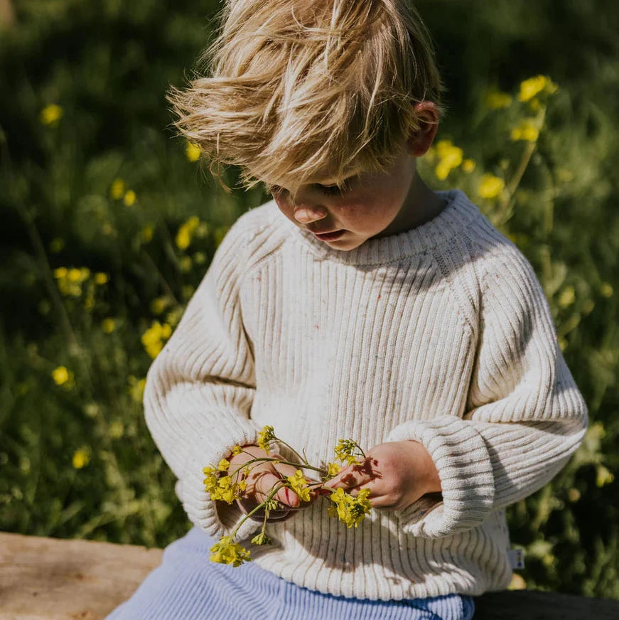 Child sitting on a log in a field of flowers wearing a white sweater and blue pants.