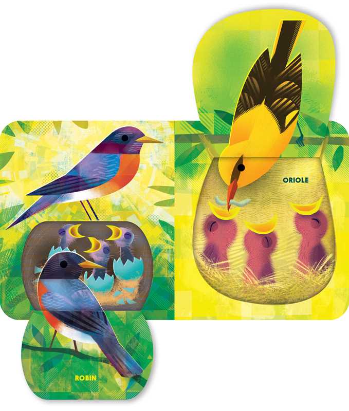 Book cover of 'Whose Nest is Best?' with a colorful illustration of a bird and eggs.