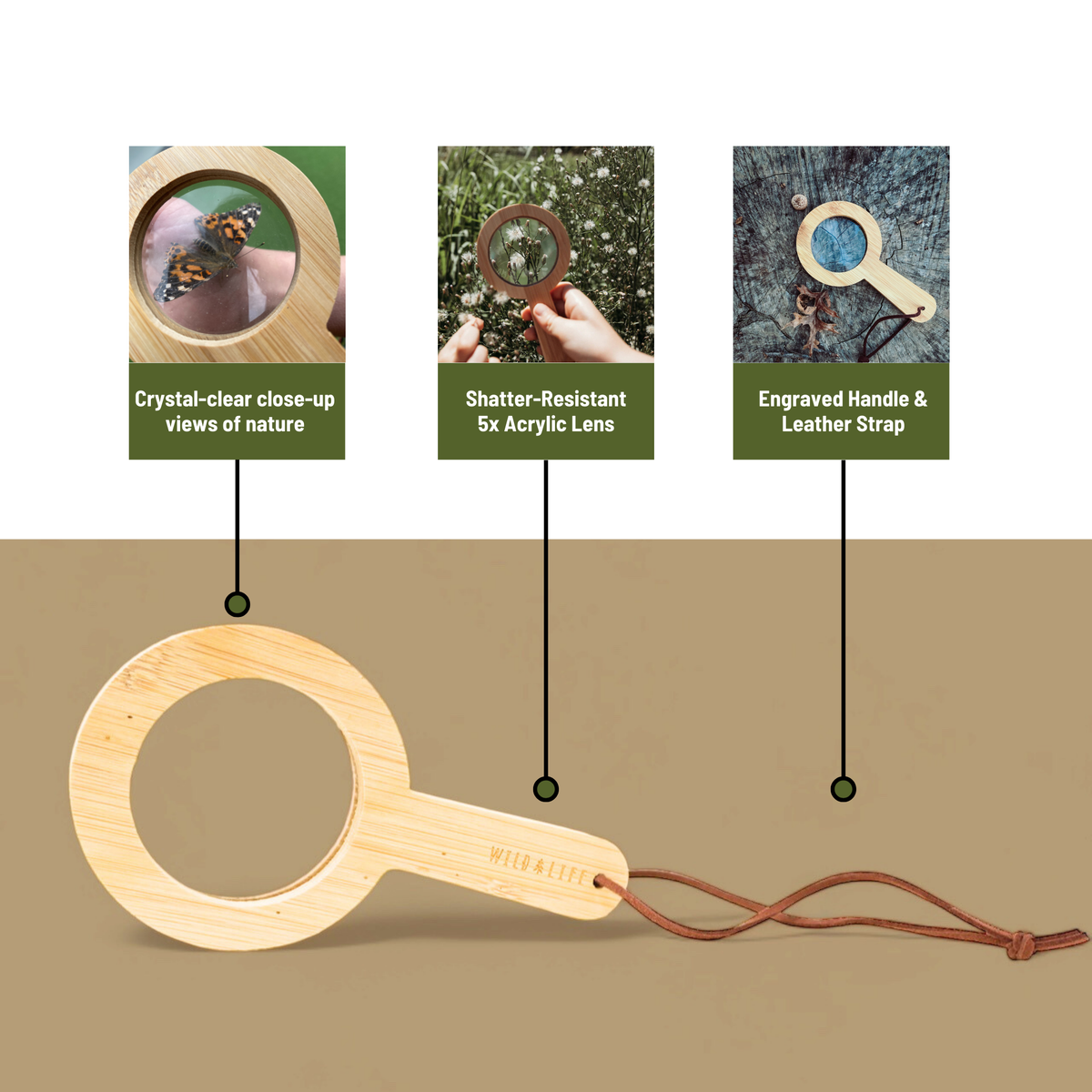 Wooden magnifying glass with features highlighted on a beige background
