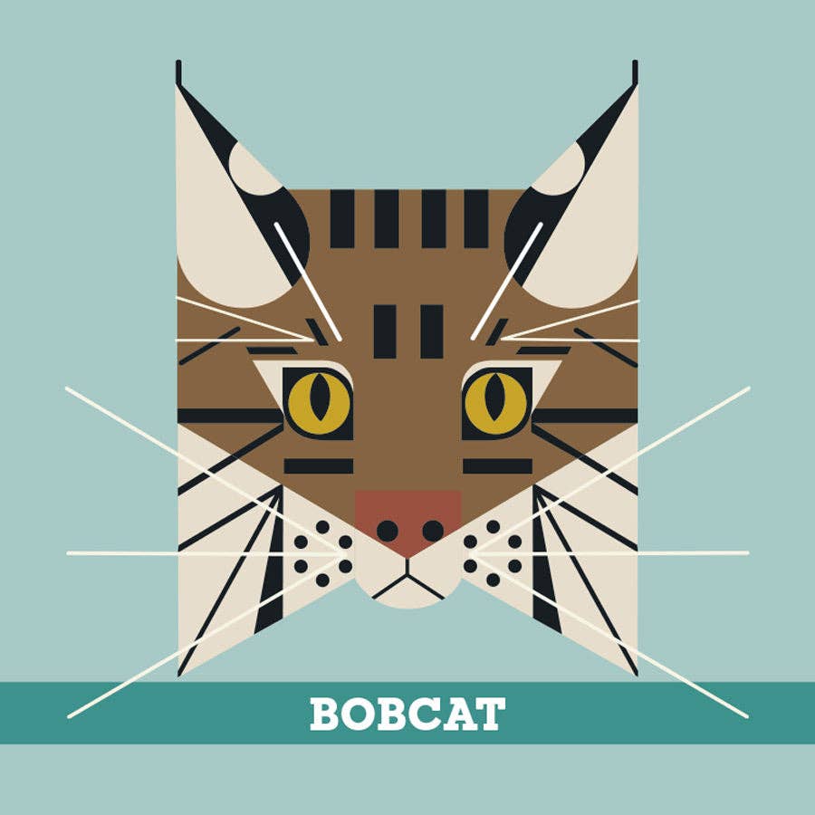 Box of Charley Harper's Animals Memory Game with illustrations of animals on a white background