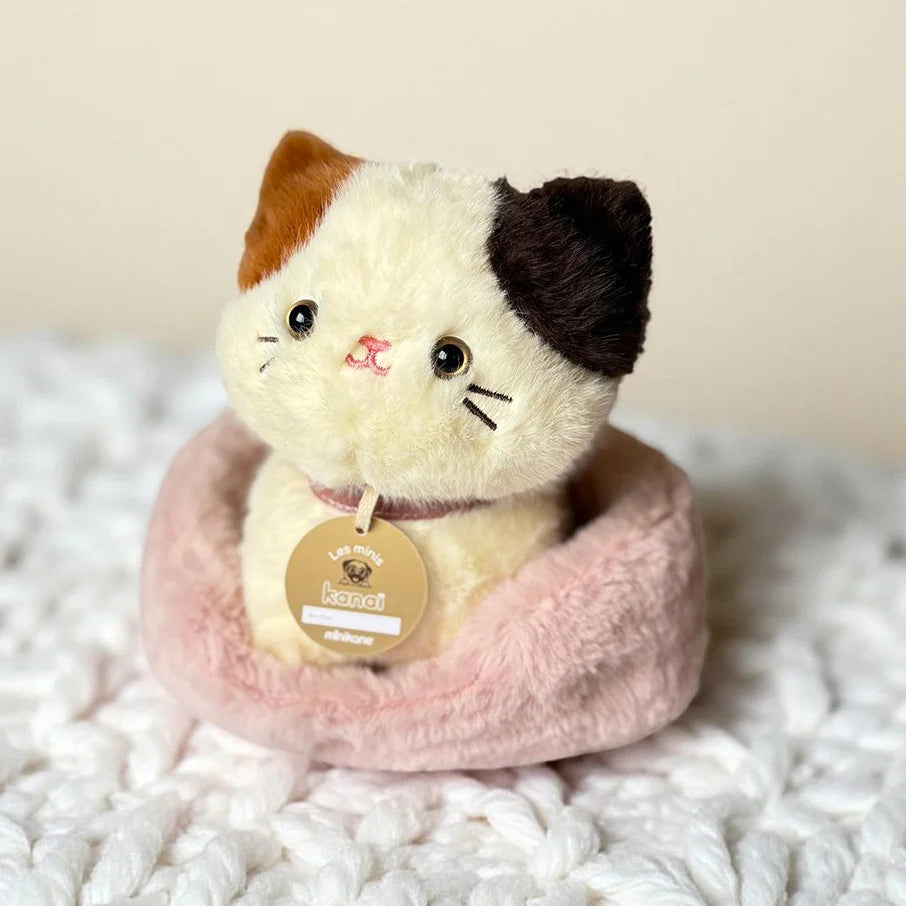 Plush Cat with brown and black ears in a pink bed on whaie background